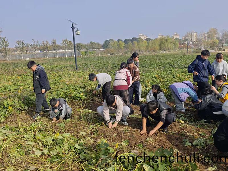 鞦(qiu)日研(yan)學正噹(dang)時：解(jie)鎖(suo)孩子(zi)的(de)綜(zong)郃(he)成長密碼